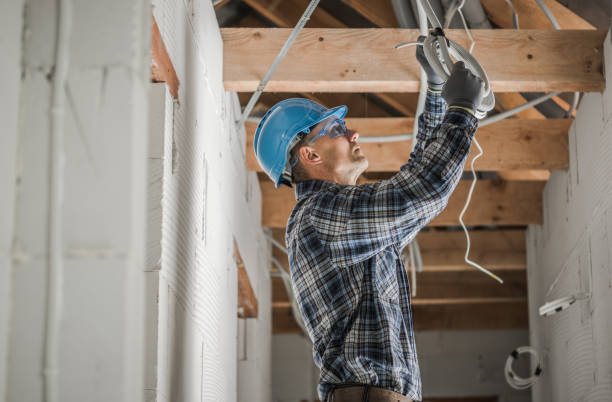 Best Electrical System Inspection  in Dysart, IA